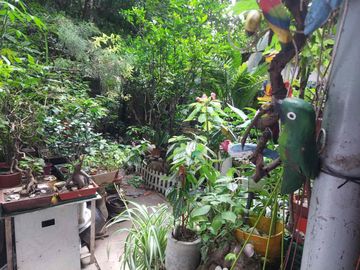 VENTA DEPARTAMENTO 4 AMB PLANTA BAJA VILLA RAFFO