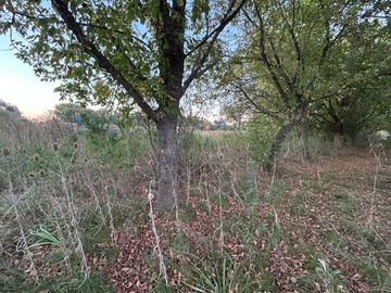 VENTA LOTE MORENO