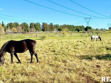 Terreno En Venta En Altos De Manzanares, Pilar