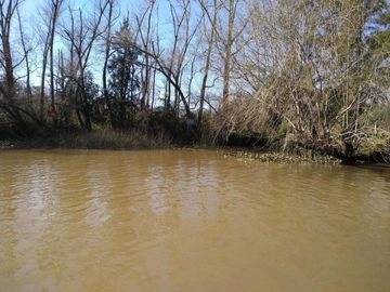 VENTA DE LOTE EN EL DELTA DE TIGRE PRIMERA SECCIÓN