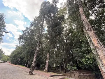 CASA EN VENTA EN FRACCIONAMIENTO ARBORETO, SAN PEDRO CHOLULA, PUEBLA.