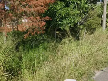 Terreno en venta en El Lencero, Emiliano Zapata, Veracruz de Ignacio de la Llave