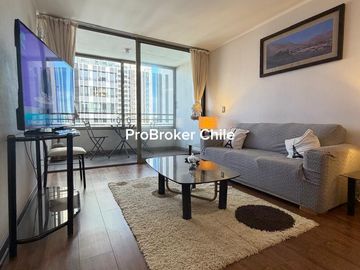 DEPARTAMENTO AMOBLADO EN ARRIENDO CENTRO SUR
