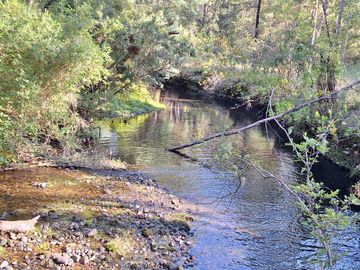 Parcela en venta  en LOS LAGOS