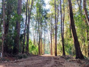 Parcela en venta  en LOS LAGOS