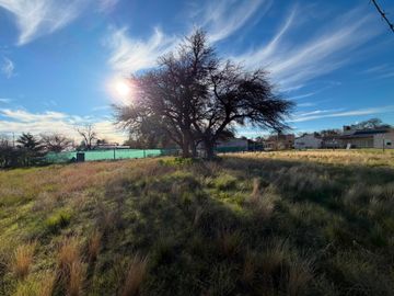 Terreno en Juliana Villar