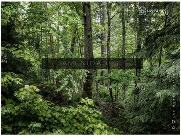 🌎 Venta Lotes Campestres de 750 a 1,270 m² en Huasca