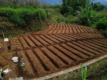 Kebun subur di Batu Jawa Timur