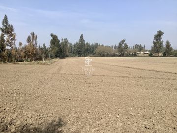 VENTA PARCELA 4 HA CAMINO SANTA ROSA, VILLA ALEGRE, MELIPILLA