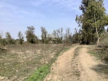 VENTA PARCELA 4 HA CAMINO SANTA ROSA, VILLA ALEGRE, MELIPILLA