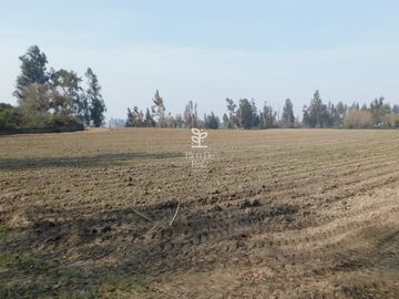 VENTA PARCELA 4 HA CAMINO SANTA ROSA, VILLA ALEGRE, MELIPILLA