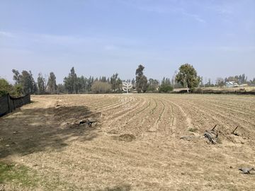 VENTA PARCELA 4 HA CAMINO SANTA ROSA, VILLA ALEGRE, MELIPILLA