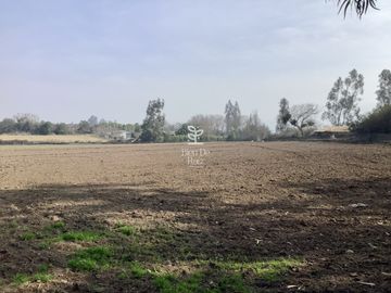 VENTA PARCELA 4 HA CAMINO SANTA ROSA, VILLA ALEGRE, MELIPILLA