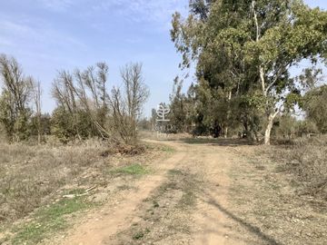 VENTA PARCELA 4 HA CAMINO SANTA ROSA, VILLA ALEGRE, MELIPILLA