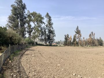 VENTA PARCELA 4 HA CAMINO SANTA ROSA, VILLA ALEGRE, MELIPILLA