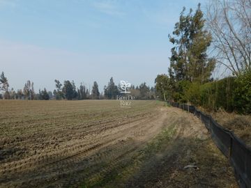 VENTA PARCELA 4 HA CAMINO SANTA ROSA, VILLA ALEGRE, MELIPILLA