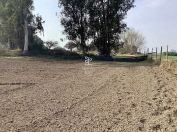 VENTA PARCELA 4 HA CAMINO SANTA ROSA, VILLA ALEGRE, MELIPILLA