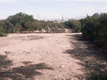 SE VENDE TERRENO  CON MUY BUENA UBICACION EN EL CONDOMINIO LOS DAMASCOS