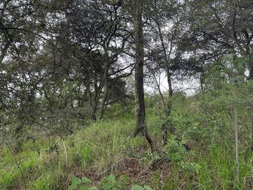 Terreno Venta Rancho San Juan, Zona Esmeralda, Atizapán de Zaragoza, Edo. Méx.