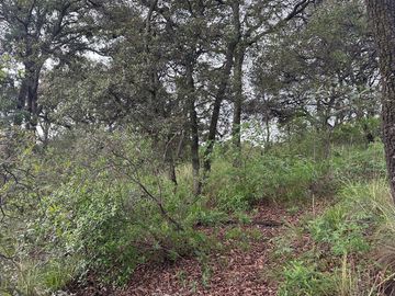 Terreno Venta Rancho San Juan, Zona Esmeralda, Atizapán de Zaragoza, Edo. Méx.
