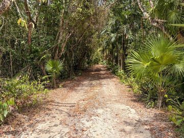 Terreno en Venta, Propiedad Privada - Bosques del Caribe C4159