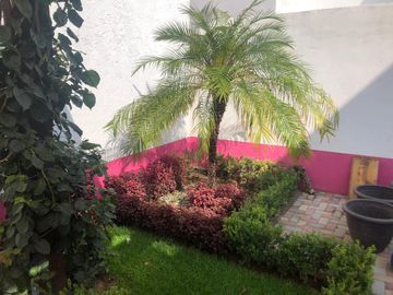 casa en renta Fracc. Punta del Este, jardín grande
