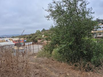 VENDE TERRENO PARA INVERSION EN CALLE VECINAL QUILPUE