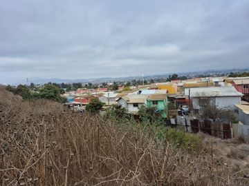 VENDE TERRENO PARA INVERSION EN CALLE VECINAL QUILPUE