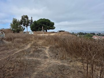 VENDE TERRENO PARA INVERSION EN CALLE VECINAL QUILPUE