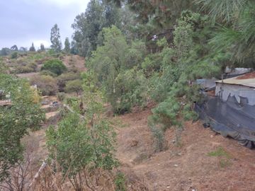 VENDE TERRENO PARA INVERSION EN CALLE VECINAL QUILPUE