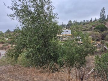 VENDE TERRENO PARA INVERSION EN CALLE VECINAL QUILPUE