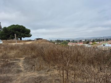 VENDE TERRENO PARA INVERSION EN CALLE VECINAL QUILPUE