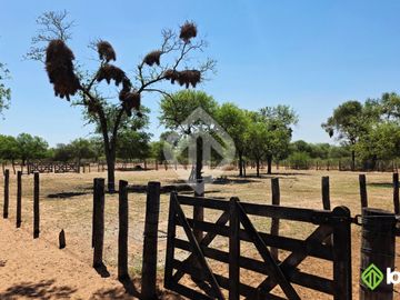 Campo Mixto en venta de 2100 ha | Macapillo | Provincia de Salta