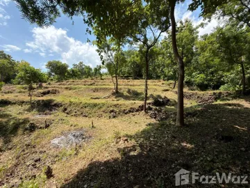 Land for sale in Tejakula, Bali