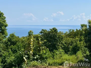 Land for sale in Tejakula, Bali