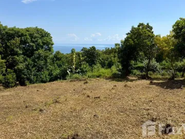 Land for sale in Tejakula, Bali