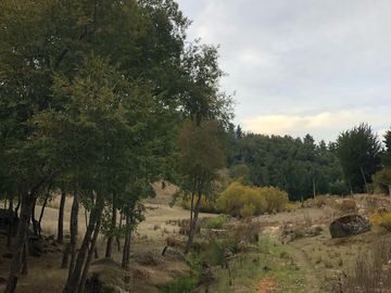Parcela en venta  en ANGOL
