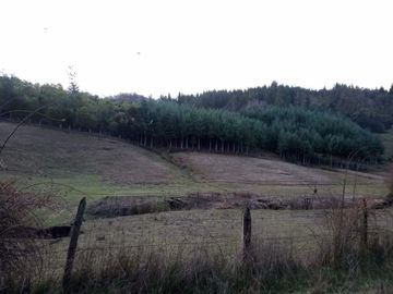 Parcela en venta  en ANGOL