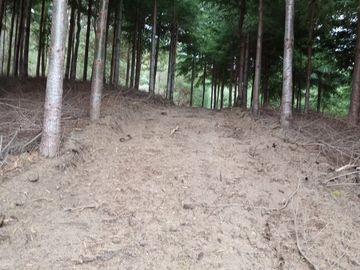 Parcela en venta  en ANGOL