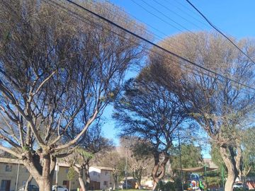 Casa en arriendo  en COPIAPÓ