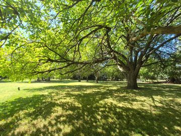 Lote en Club de Campo San Diego (5)