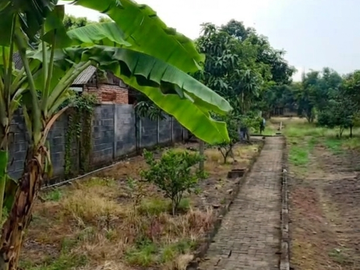 Jl. Raya Sendang Bulu
