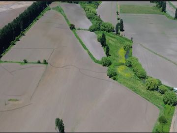 PRODUCTIVO CAMPO AGRICOLA
