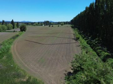 PRODUCTIVO CAMPO AGRICOLA