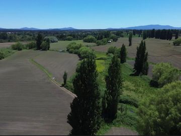 PRODUCTIVO CAMPO AGRICOLA