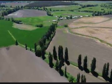 PRODUCTIVO CAMPO AGRICOLA