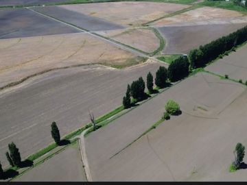 PRODUCTIVO CAMPO AGRICOLA