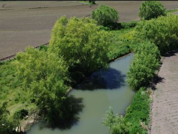 PRODUCTIVO CAMPO AGRICOLA