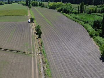 PRODUCTIVO CAMPO AGRICOLA