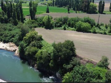 PRODUCTIVO CAMPO AGRICOLA